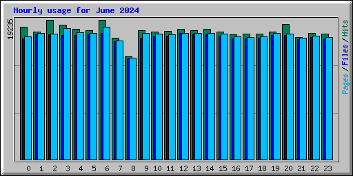 Hourly usage for June 2024