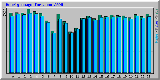 Hourly usage for June 2025